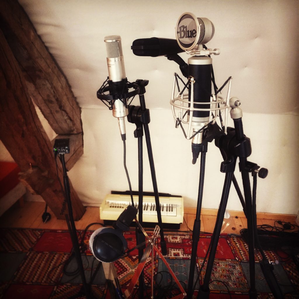 Quelques microphones Studio